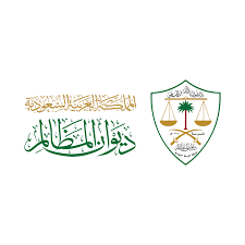 شريك نجاح